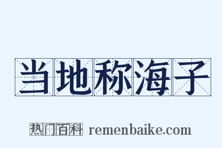 当地称海子是什么意思的图片